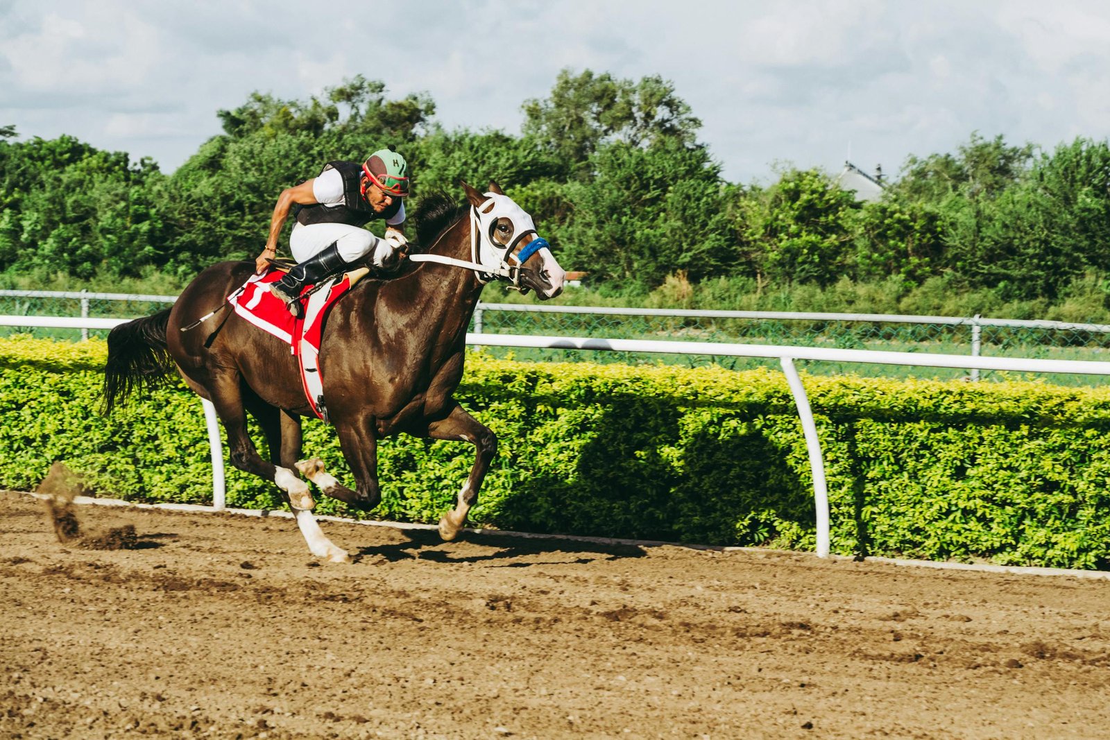Exciting scene of a horse race featuring a skilled equestrian rider in action outdoors.